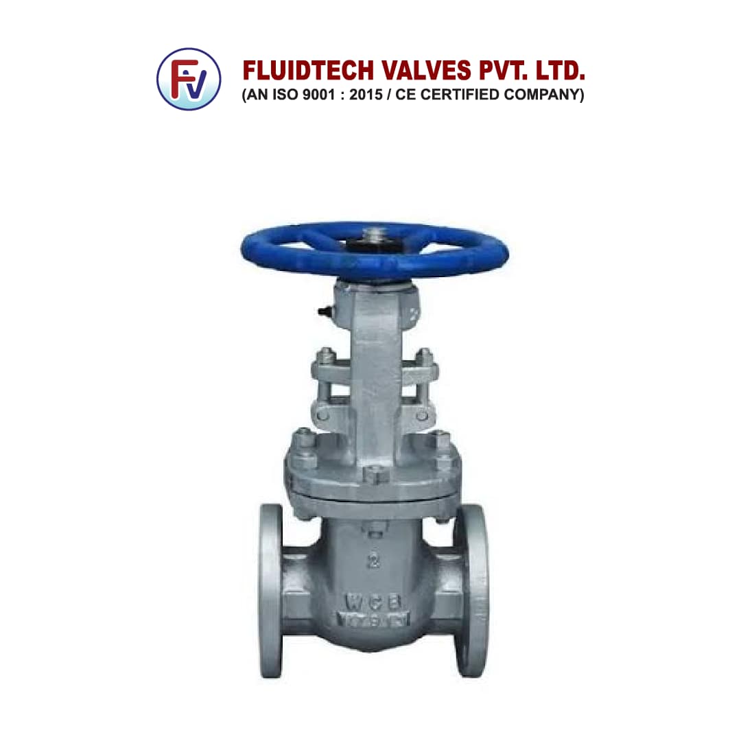 Control Valves-Cast Steel Gate Valve-Product