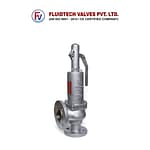 Control Valves-WCB Safety Valves-Product