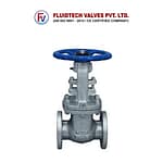 Control Valves-Cast Steel Gate Valve-Product
