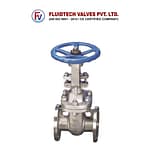Control Valves-SS Gate Valves-Product