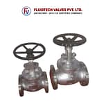 Globe Valves-SS Globe Valves 2-Products
